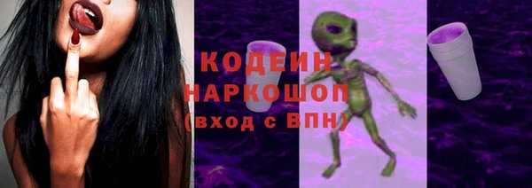 ГАЛЛЮЦИНОГЕННЫЕ ГРИБЫ Верея